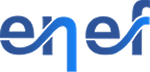 Logo ENEF